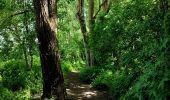 Tour Wandern Hannut - La balade des chevées (5km)  - Photo 19