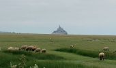 Randonnée Marche Huisnes-sur-Mer - Huisnes-sur-Mer - vue Mont-St-Michel - Pointe de Roche Torin - 14km 75m 4h30 (45mn) - 2017 06 26 - Photo 20