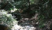 Trail On foot Unknown - Καρυές - Ι. Μ. Φιλοθέου - Photo 10