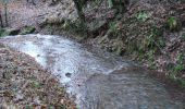 Tour Zu Fuß Lohr am Main - Ortswanderweg Lohr 8 - Photo 5