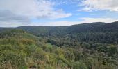 Trail Walking Aywaille -  A la découverte du Ninglinspo 🥾 - Photo 1