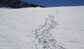 Trail Walking Pralognan-la-Vanoise - la Vanoise  - Photo 9