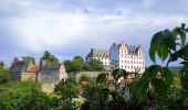 Tour Zu Fuß Fischbachtal - Rundwanderweg Fischbachtal 2 : Geographisch-Historischer-Lehrpfad - Photo 7