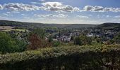 Tour Wandern Saint-Rémy-lès-Chevreuse - Virade de St Remy Parcours jaune - Photo 9