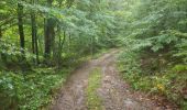 Tocht Noords wandelen Saint-Pierre-de-Nogaret - SityTrail - Le Brouillet - Cascade du Saltou - Photo 6