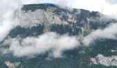 Randonnée Marche Arâches-la-Frasse - Mont Jovy pierre à Laya - Photo 4
