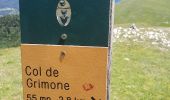 Randonnée Marche Glandage -  Le Joucou par Crête des Amousières Grimone12km - Photo 12