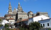 Tocht Stappen O Pino - 13.05.18 O Pedrouzo--Santiago de Compostella - Photo 5