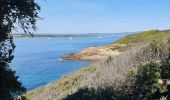 Excursión Senderismo Hyères - Porquerolles  à pied  - Photo 4