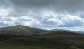 Tour Wandern Chalmazel-Jeansagnière - Col de la Loge - Col du Béal - Photo 4