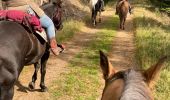 Tour Reiten Ban-sur-Meurthe-Clefcy - Fraize col bonhomme Tivio chez Delphine  - Photo 2