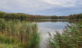 Tour Wandern Fère-en-Tardenois - Fére en Tardenois Parc des Bruyères 1 - Photo 1