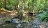 Tour Wandern Chiny - Chiny 190924 - Photo 16