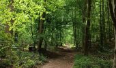 Randonnée Marche Notre-Dame-de-Bondeville - Randonnée en forêt Domaniale de Normandie - Photo 5