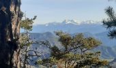 Trail Walking Bayons - BAYONS  . col des Sagnes , Peyrouret , Picouse , bergerie de Gautiere , Piaure , Giaire n - Photo 15