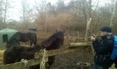 Tocht Stappen Chevreuse - Chevreuse sans le chateau de la MADELEINE - Photo 3