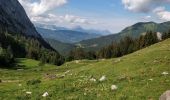 Randonnée Marche Samoëns - Les Allamands lac des Verdets - Photo 1