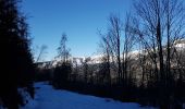 Percorso Racchette da neve Colmars - LAUPON 23.02.19 - Photo 1