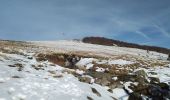 Tour Wandern Lepuix - Lola & Ballon d'Alsace - Photo 4