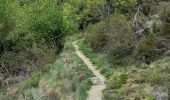Trail Walking Prats-de-Mollo-la-Preste - col du miracle a pratiquement de mollo - Photo 19