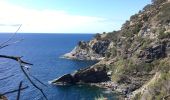 Tocht Stappen Hyères - Sentier du littoral de Giens - Photo 5