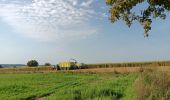Tocht Stappen Comblain-au-Pont - oneux . comblain-la-tour . oneux - Photo 14