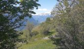 Randonnée Marche Puy-Saint-Pierre - tour des puys par prorel et les combes - Photo 1