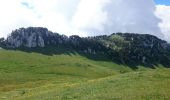 Randonnée Marche Entremont-le-Vieux - Croix de l Alpe Le Pinet  - Photo 5