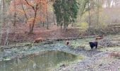 Randonnée Marche Ciney - RB NA Chevetogne - Photo 9