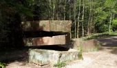 Tour Wandern Oberhaslach - Oberhaslach - Photo 2