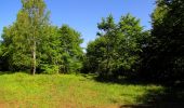 Tour Wandern Trosly-Breuil - en forêt de Compiègne_28_les Tournantes sur le Mont Saint-Mard et sur le Mont Collet - Photo 10