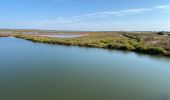 Tour Wandern Villeneuve-lès-Maguelone - Palavas - Photo 3