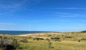 Randonnée Marche Wissant - Les caps blanc nez: le petit et le grand - Photo 7