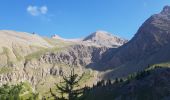 Tocht Stappen Allos - Lac Allos- Col petite cayole - Pas du Lausson - Photo 6