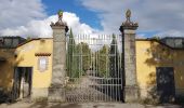 Trail On foot Gaiole in Chianti - IT-33 - Photo 2