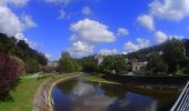 Tocht Mountainbike Durbuy - VTT autour des villages de Durbuy. - Photo 6