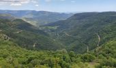 Tour Wandern Les Plans - Forêt et cirque de Labeil  - Photo 1