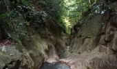 Trail Walking Pointe-Noire - Canyon Rivière Grand Plaine - Photo 1