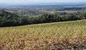 Trail Walking Saint-Pantaléon-les-Vignes - saint panthaleon les vignes  - Photo 3