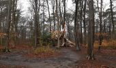 Tour Wandern Houppeville - foret monumental - Photo 5