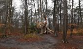 Trail Walking Houppeville - foret monumental - Photo 5
