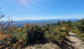 Trail Walking Cabrières-d'Aigues - le Mourre Nègre - Photo 5