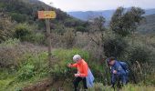 Percorso Marcia Bormes-les-Mimosas - Randonnée des trois cols à Bormes les Mimosas - Photo 13