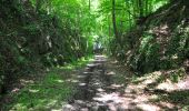 Trail Walking Profondeville - Burnot - Arbre - Annevoie - Photo 3