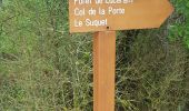 Randonnée Marche Lucéram - Col de Porte Col de L’Autaret - Photo 3