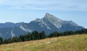 Tour Wandern Saint-Pierre-de-Chartreuse - Circuit autour de Pravouta (Saint Hilaire du Touvet) - Photo 7