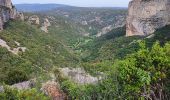 Randonnée Marche La Vacquerie-et-Saint-Martin-de-Castries - La Vacquerie St Guilhem  - Photo 2