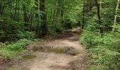 Trail Walking Eupen - Barage de vesdre - Photo 1