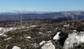 Randonnée Marche La Roche-sur-le-Buis - la montagne de Banne  - Photo 3