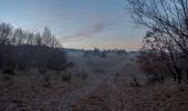 Tocht Te voet Triëst - Strada Basovizzana - Photo 6